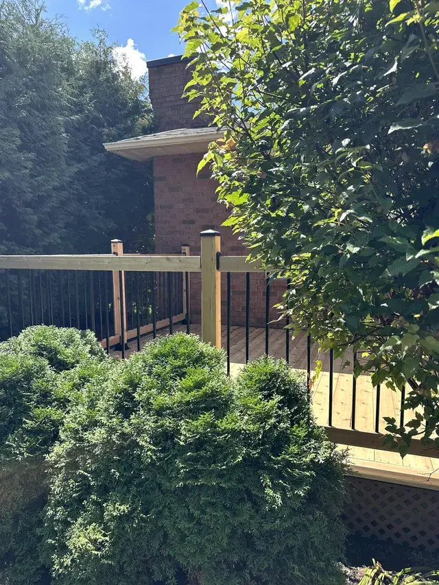 Cedar deck railing among shrubs